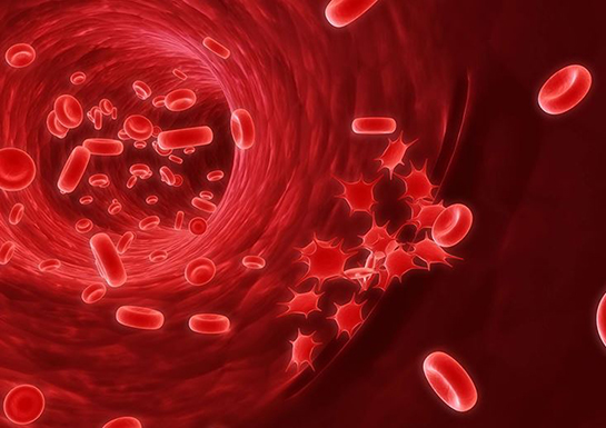 Trombosit Düşüklüğü Belirtileri ve Tedavisi