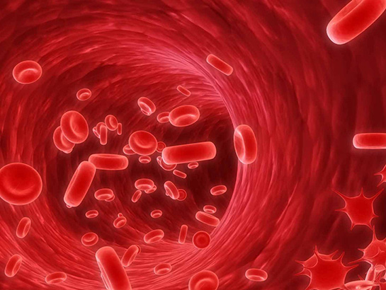 Trombosit Kanseri Belirtileri ve Tedavisi